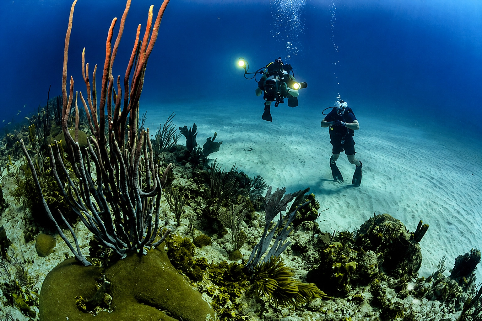 Sub che esplorano i fondali del Golfo Paradiso